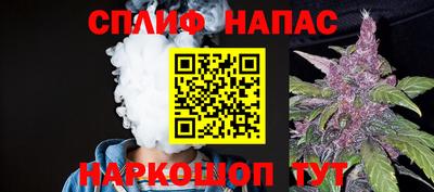 амф Кингисепп