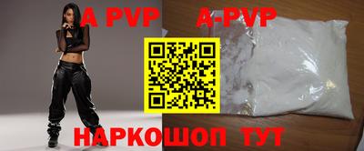 амф Кингисепп